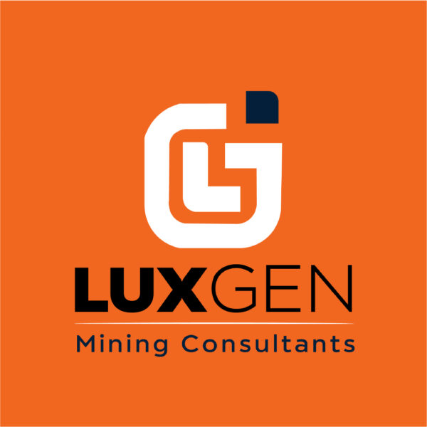 Premium Logo Design - Image 13
