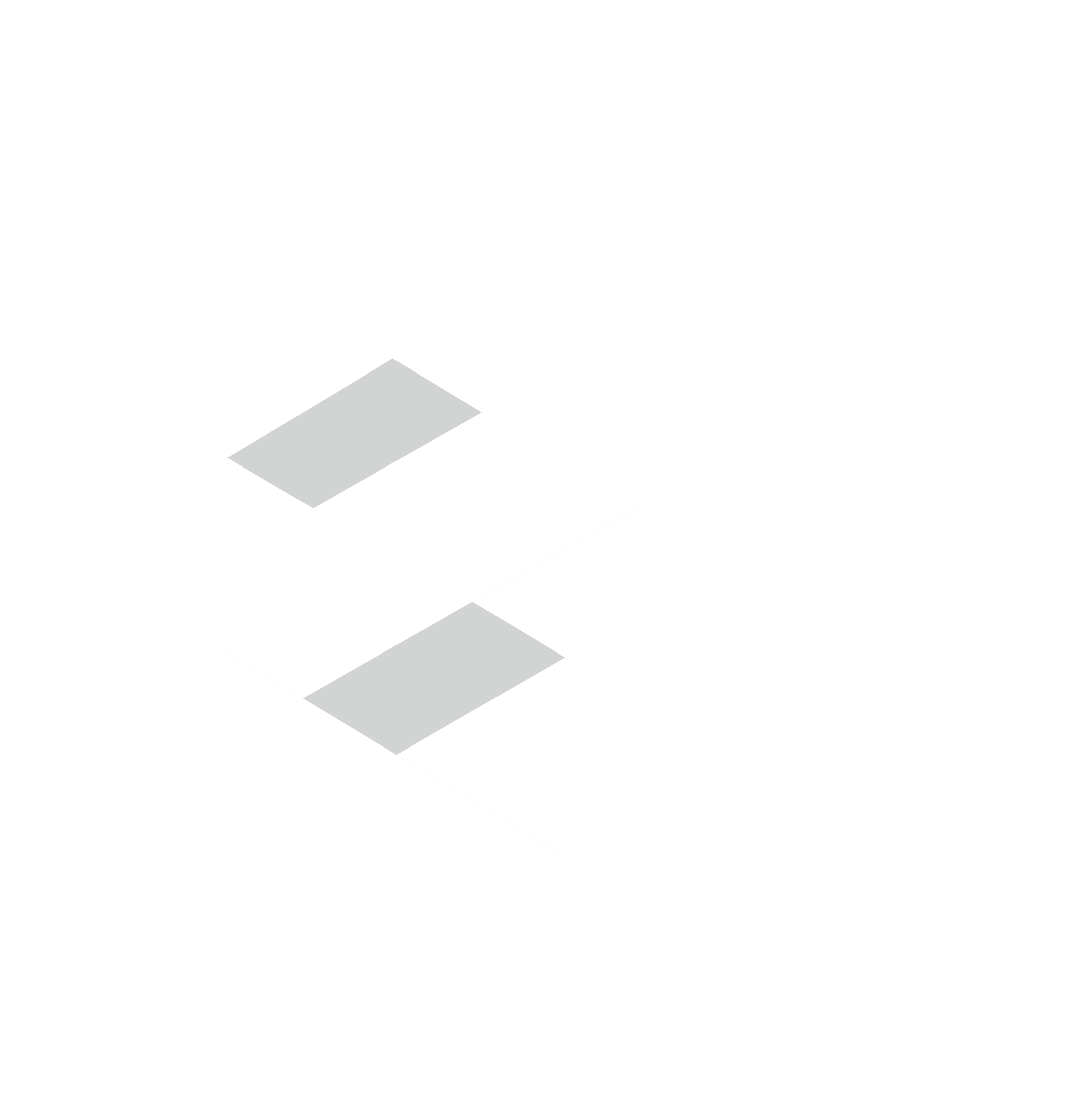 ELEVATE VISION LTD